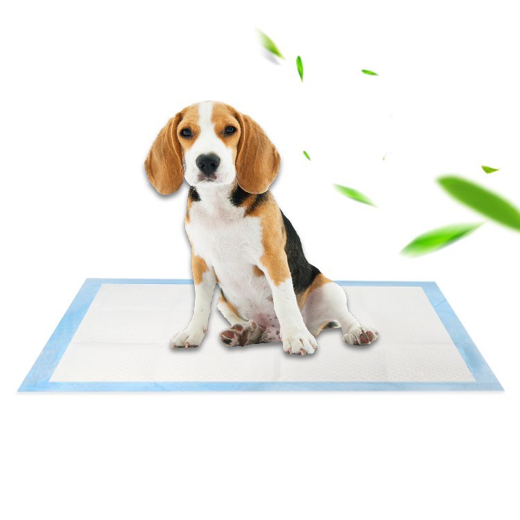 Eco Friendly Biodegradable Pet Training Pad