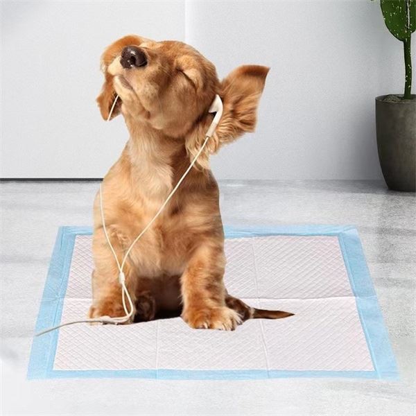 Quickly Urine Absorb Puppy Pet Pee Pad For Dog Training