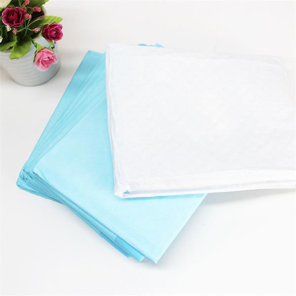 Delicate Colors Super Absorbent Pet Pad Puppy Training Pee Pads