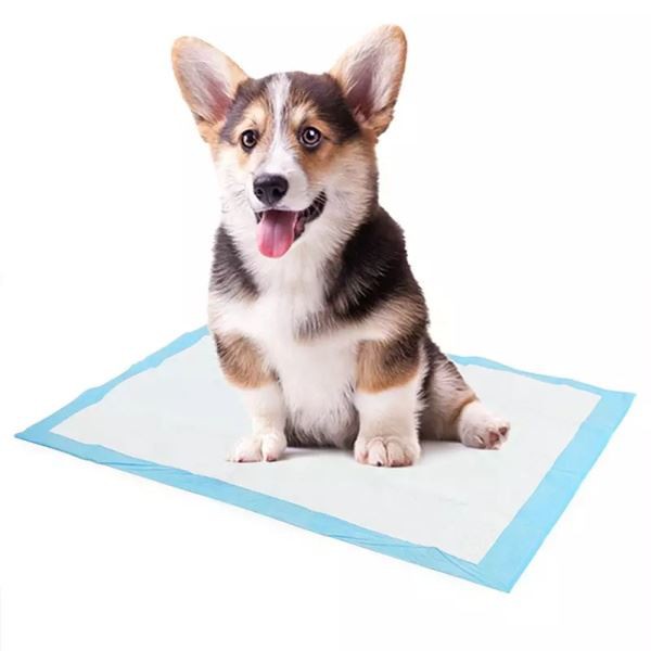 Disposable Non-Woven Urine Pad Dog Pads For Pets In Cars
