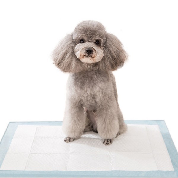 Wholesale Puppy Training Pads Dog Pee Pads With PP Stickers